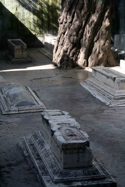 City Monument - A Beautiful Unknown Tomb, Mehrauli