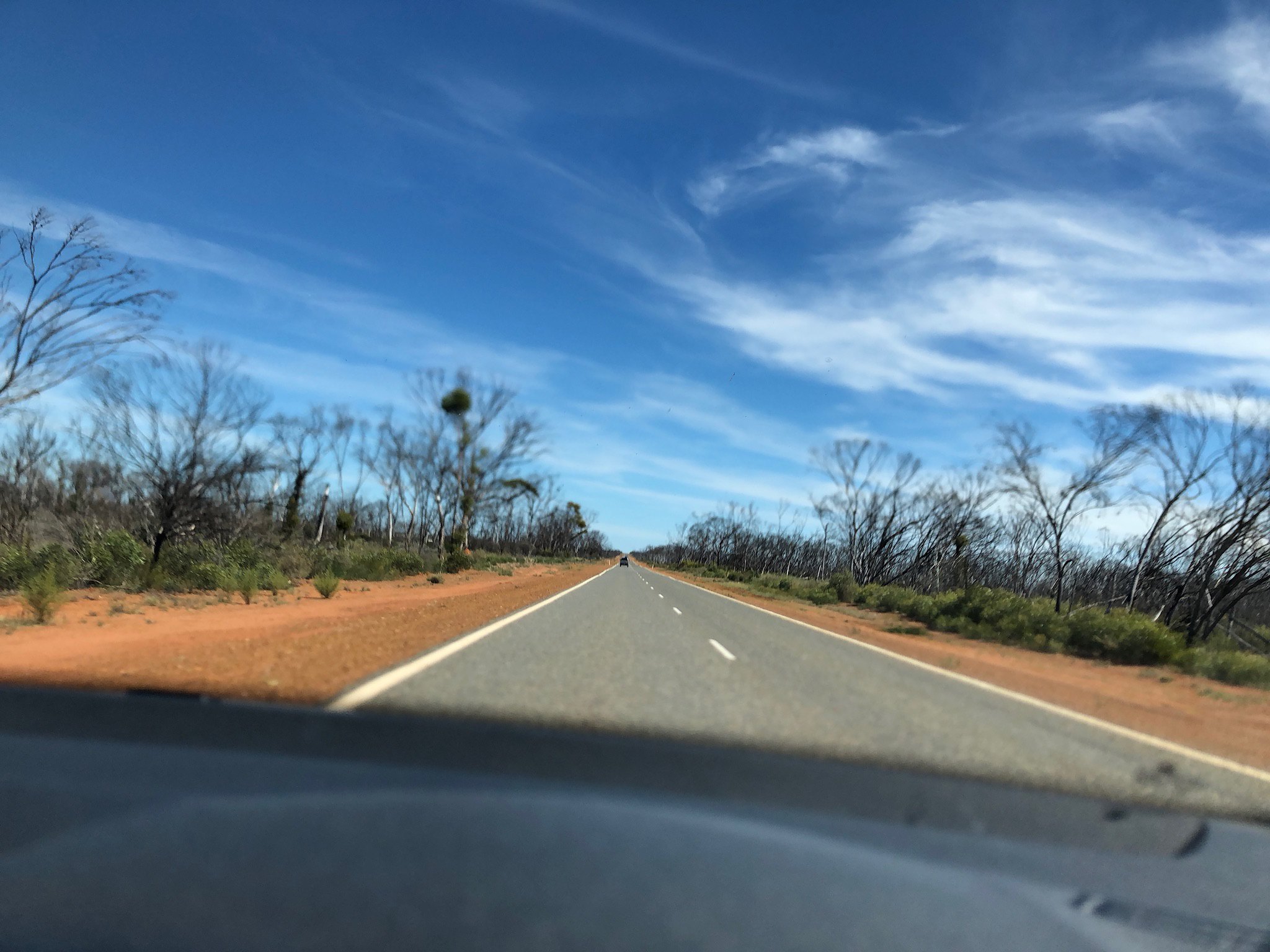 On the Road with accidental Motion Blur