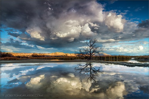 storm clouds sky tree pond reflection sanjacintowildlifearea california landscape