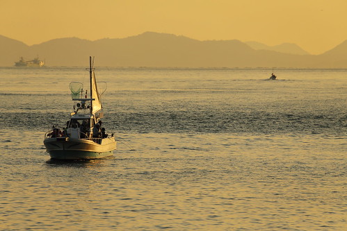 boat sea morning sakaide shikoku japan japon fishing 坂出 香川県 瀬戸内海 setoinlandsea 漁船 海 朝 日本 四国 landscape