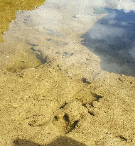 spring hike texas tracks riverbed glenrose prehistoric