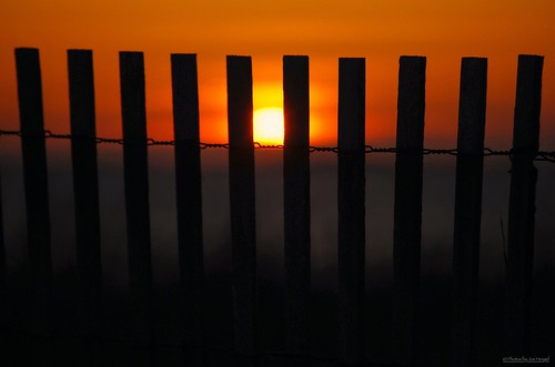 dontfencemein fence fenceline sandfence lowerslowerdelaware lsd lewes lewesde delaware de rooseveltinlet watchingthesunrise sunrise sun sunlight silhouette silhouettes morning morninglight horizon