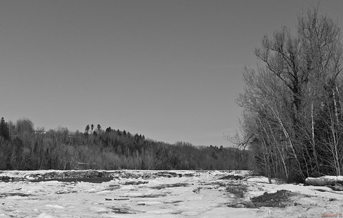 saintgeorges québec canada ca rivièrechaudièreauprintemps beauce river sonyphotographing spring