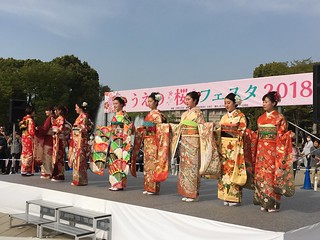 Ueno Park Kimono Show