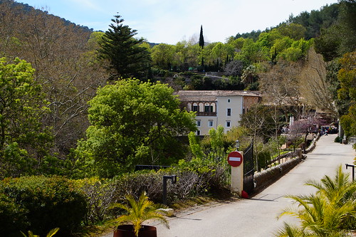Monasterio de Miramar, Valldemossa y La Granja, 29-3-2018 - Mallorca (52)