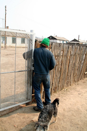travel dog fence gate lock mongolia badunara