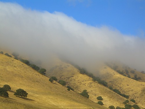 california fog highway hills 46 pasorobleshighway