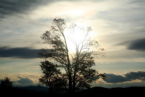 sunset sky tree canoneos350d