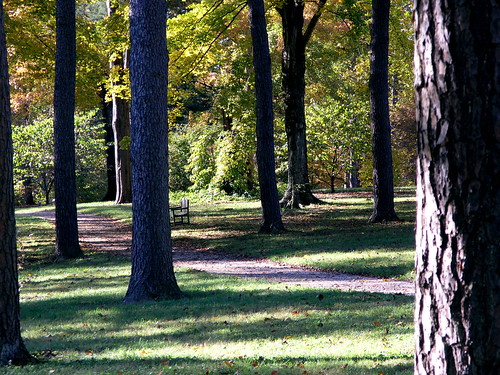 autumn kentucky arboretum bernheimforest