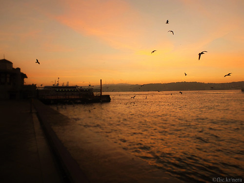 morning birds sea water sky besiktas sunrise