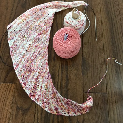Started my sample of Casapinka’s Yarn Store Shawl for LYS Day using Manos del Uruguay Alegria in Caracas and SweetGeorgia Tough Love Sock in Grapefruit. What yarn will you choose?
