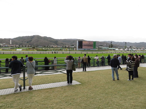 福島競馬場のスタンド前からコースを眺める