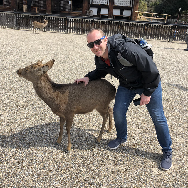 Making a deer friend in Nara