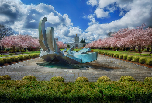 ian sane images acapitolspring cherry blossoms spring spraguefountain capitolfountain salem oregon state capitol mall landscape photography canon eos 5ds r camera ef1740mm f4l usm lens