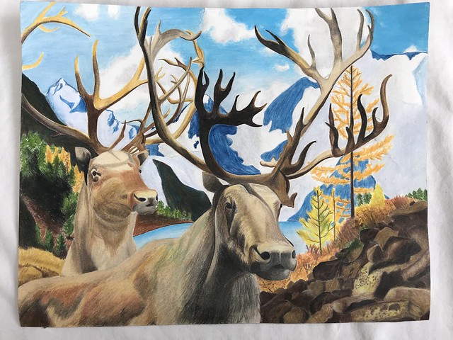 2018 Saving Endangered Species Youth Art Contest Semifinalists