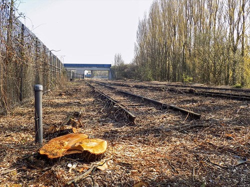 disused abandoned railway railroad southstaffordshireline southstaffordshirerailway