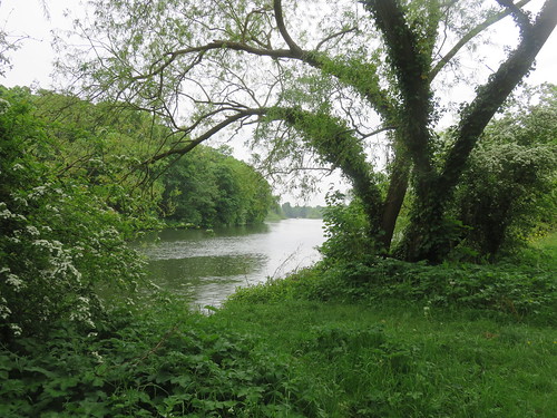 Thames Path - Windsor to Maidenhead