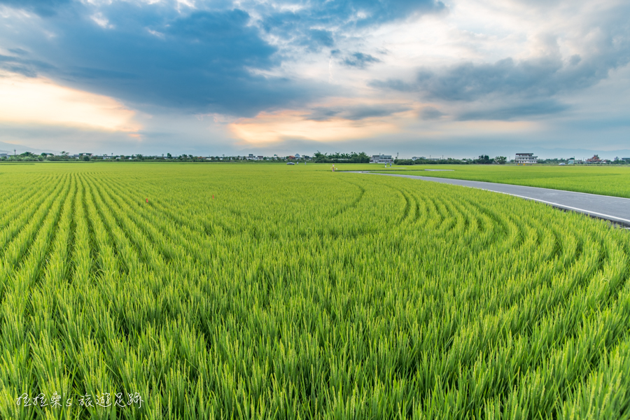 宜蘭三奇伯朗大道，季節限定的青綠稻浪，靜賞稻田逐漸由翠綠轉為金黃，每一幕都是最好拍的鄉間美景