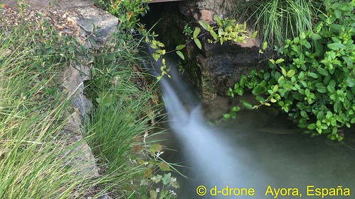 agua acequia estanque sol exposición naturaleza viva