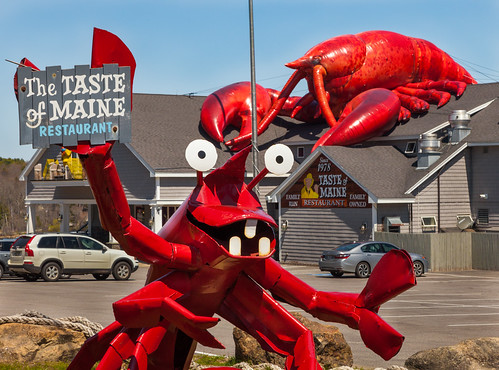 maine woolwich restaurant thetasteofmaine lobster seafood