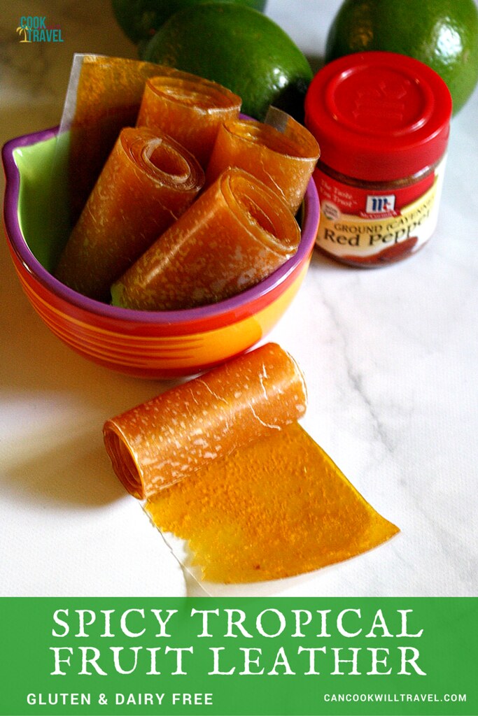 Tropical Fruit Leather