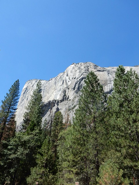 Yosemite National Park: Tioga Road, Tuolumne Grove y Glacier Point Road - Costa oeste de Estados Unidos: 25 días en ruta por el far west (22)