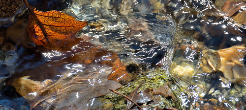 eechillington nikond7500 viewnxi corelpaintshoppro fergusoncanyon utah hiking water patterns texture leaf rocks