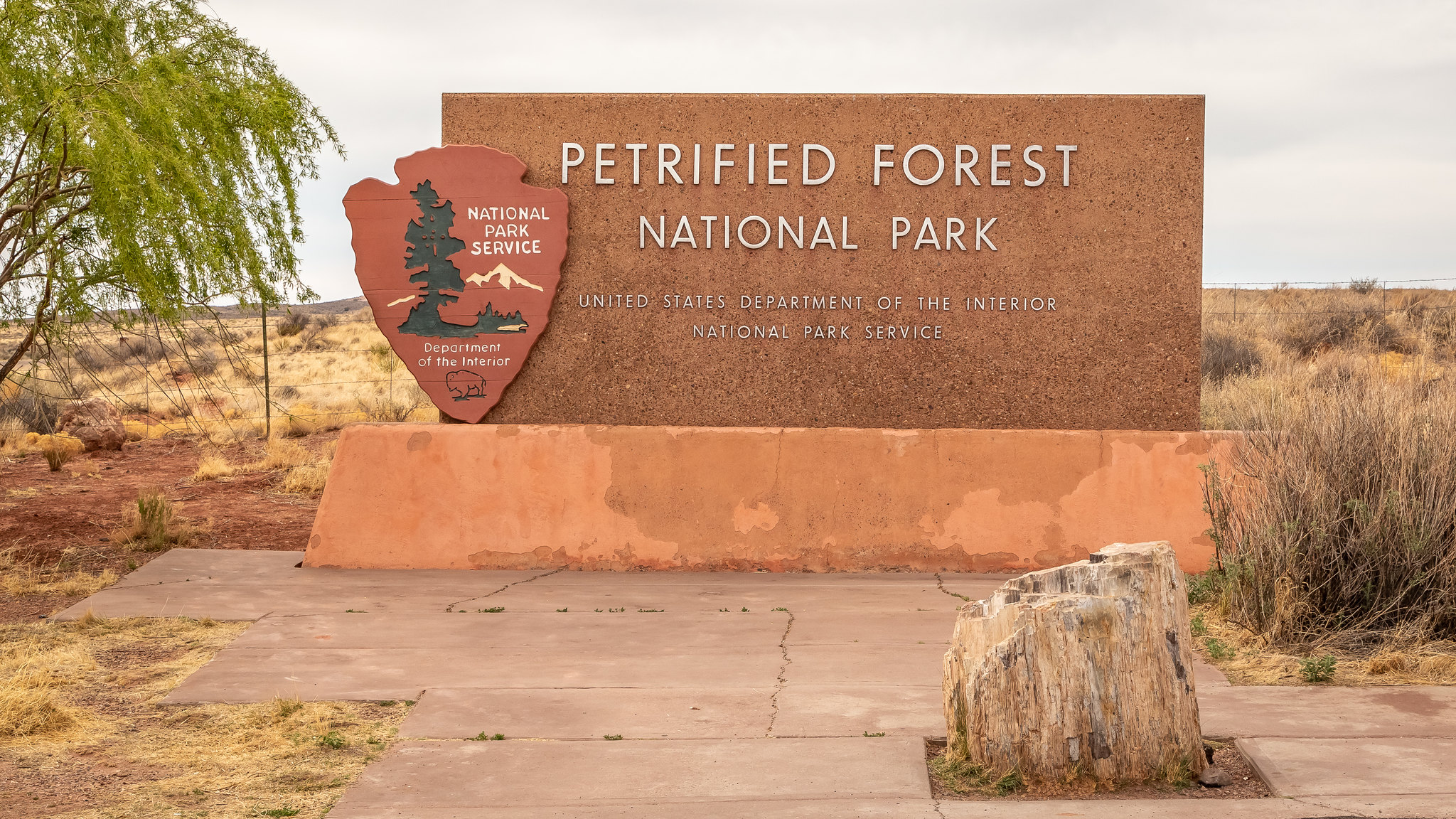 Petrified Forest - Arizona - [USA]