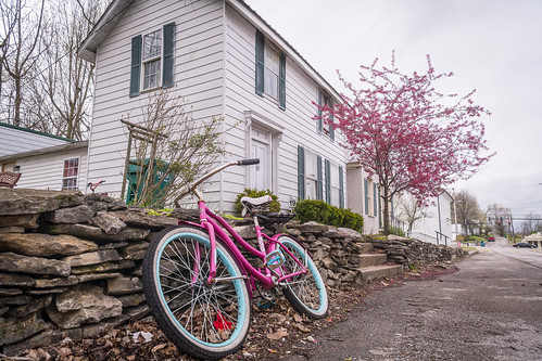 perryville bicycle redbudblossom spring redbud bike tree home frontyard road