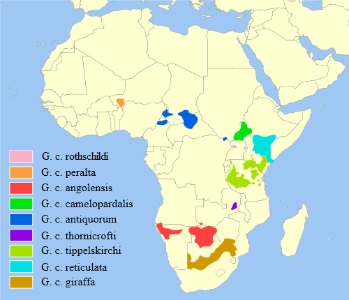 Geographic distribution of the giraffe (Giraffa camelopardalis).