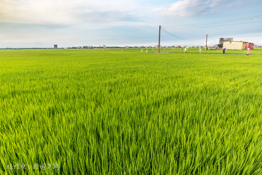 宜蘭三奇伯朗大道，季節限定的青綠稻浪，靜賞稻田逐漸由翠綠轉為金黃，每一幕都是最好拍的鄉間美景
