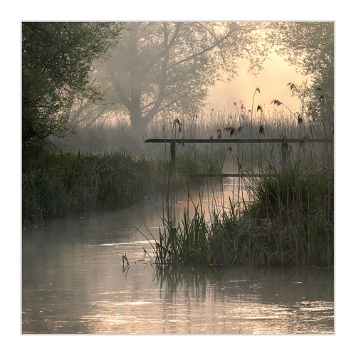 test river mist daybreak sunrise reeds hampshire