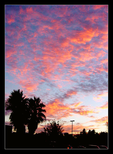 sunset sky clouds palms texas harlingen