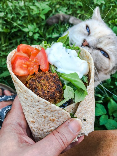 årstiderna vegan food box, may 2018 - falafel