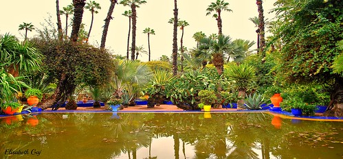 maroco012015 elisabethgaj marocco marrakech afryka travel garden s colour