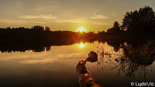 butgenbach lac lake belgique belgium eastbelgium belgie beauty sunset eifel lцdоіс nature barrage