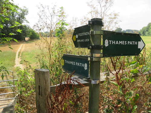 Thames Path - Shiplake to Tilehurst