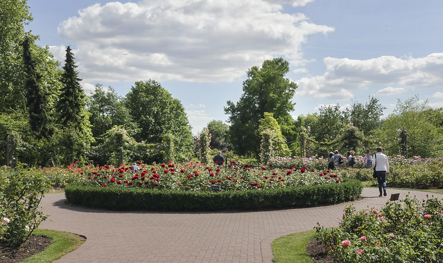 Queen Mary's Rose Gardens, Regents Park