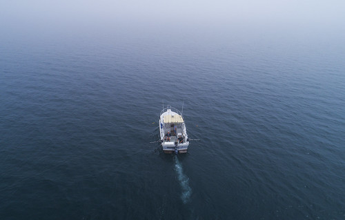 drone dronephotography drones dji djiphantom4 phantom4 pro p4pro water boat boating fish fishing salmon lakeontario amazing incredible fog foggy mystery mysterious 2018 oswego kingsalmon