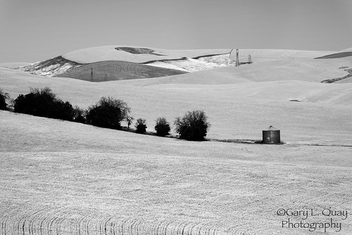 dufur oregon grain wheat storage silo rural agriculture farm farming wheatfield trees gary quay garyquay nikon d810