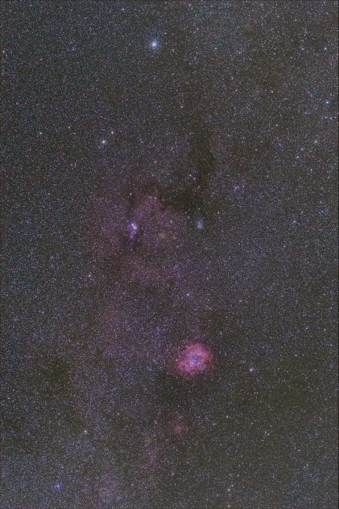 rosette and cone nebula