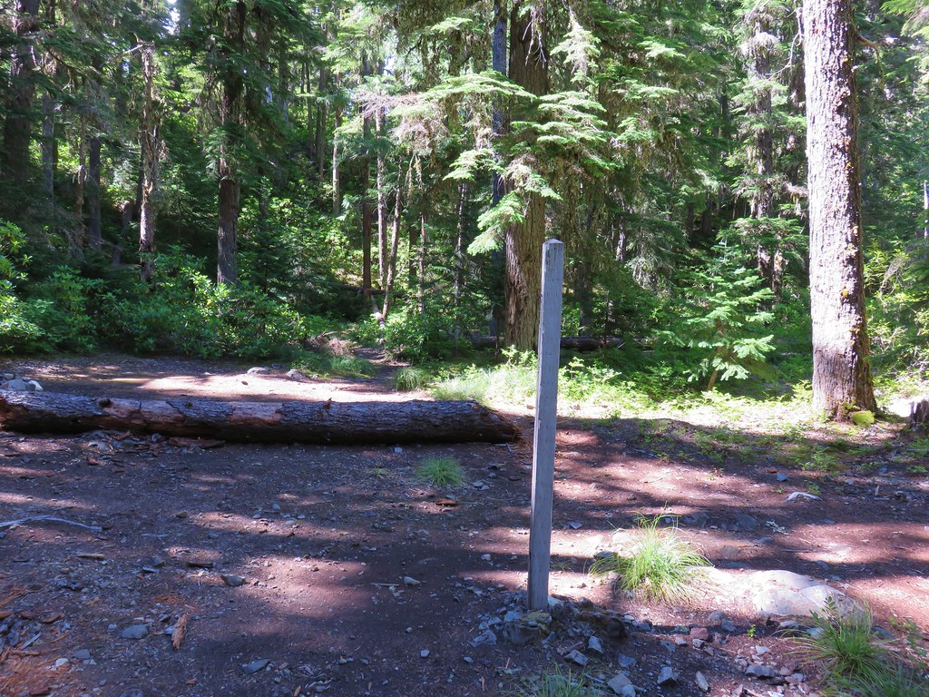 Elk Lake Creek Trail junction with the Mother Lode Trail