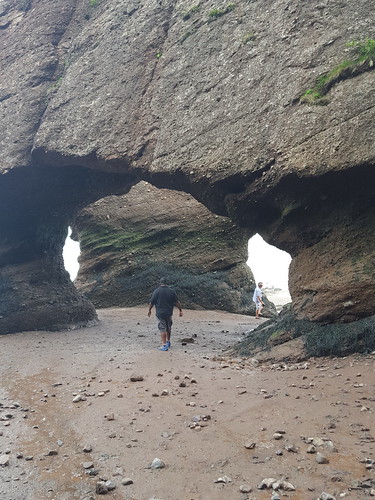 Hopewell Rocks. From Eight Surprising Delights Around Canada's Bay of Fundy