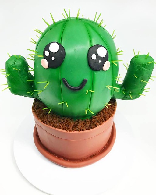 Cactus Cake by Tanya's Cakes