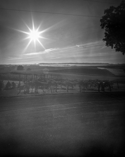 baldwin jacksoncounty iowa sunrise sun sunray mist fog farm field rural blackandwhite monochrome intrepidcameraco schneiderkreuznachsuperangulon1890 film ilford ilfordfp4plus largeformat 4x5