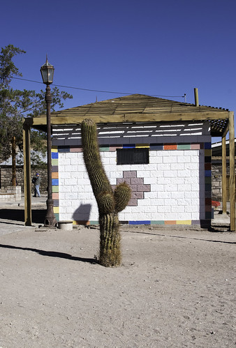 cactus town square toconao village atacama desert chile