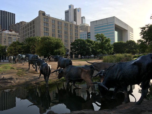 Dallas cattle sculpture