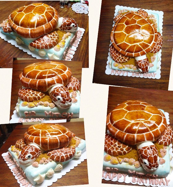 Turtle Cake by Shella Callejo