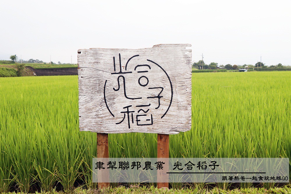 聿犁聯邦農業光合稻子 / 花蓮