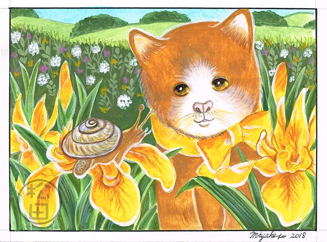Orange marmelade cat with snail and iris